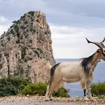 Tatil Evi Casa La Loggia *